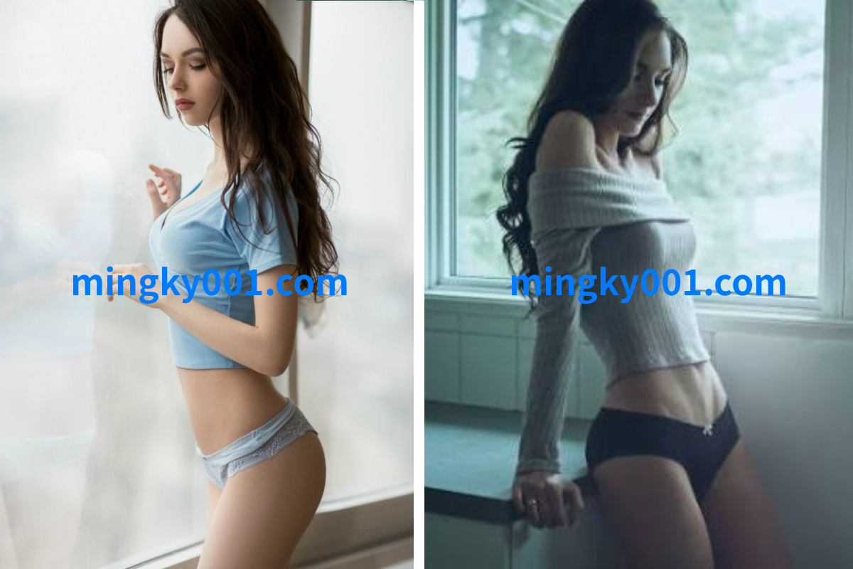 이미지